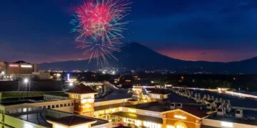 2024年度日本奥特莱斯销售额排行榜
